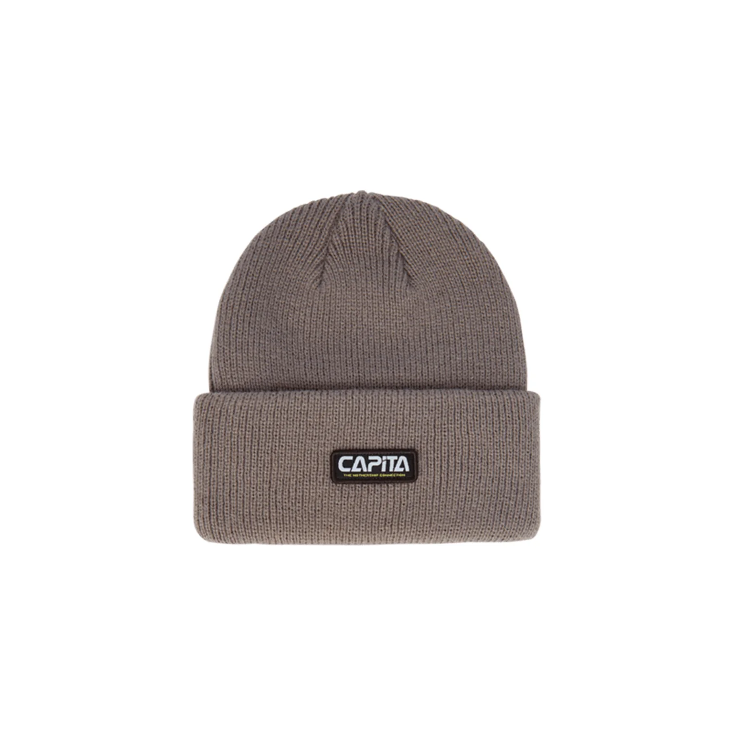 Capita Worm Beanie Gray