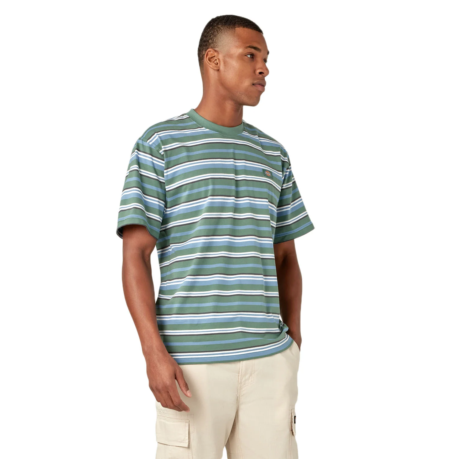 Dickies Men's Glade Spring Stripe S/S Tee Horizontal Stripe