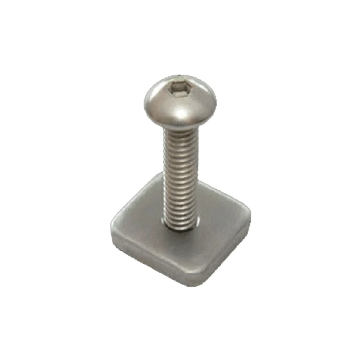 FCS Longboard Screw and Plate