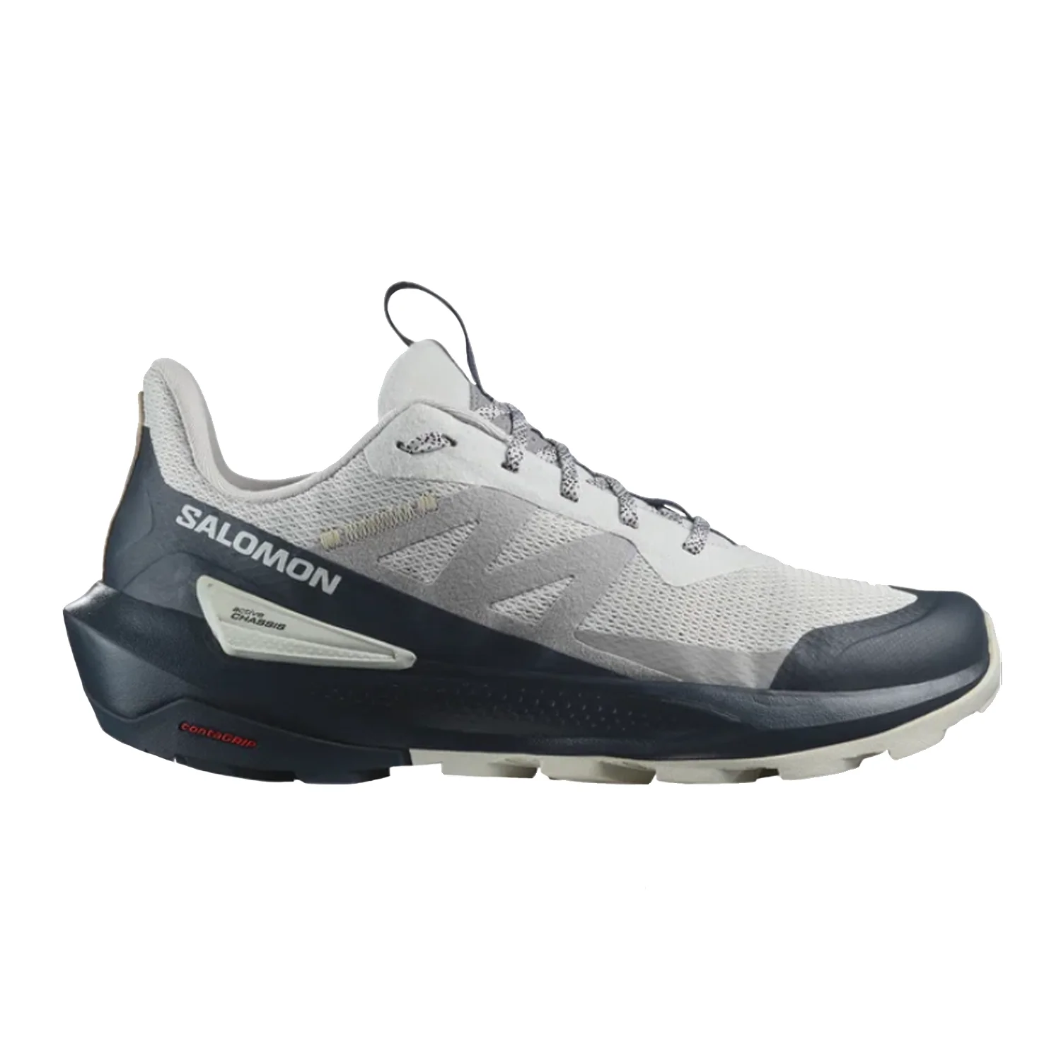 Salomon Men's Elixir Activ Shoe Glacier Gray/Carbon/Slate Green