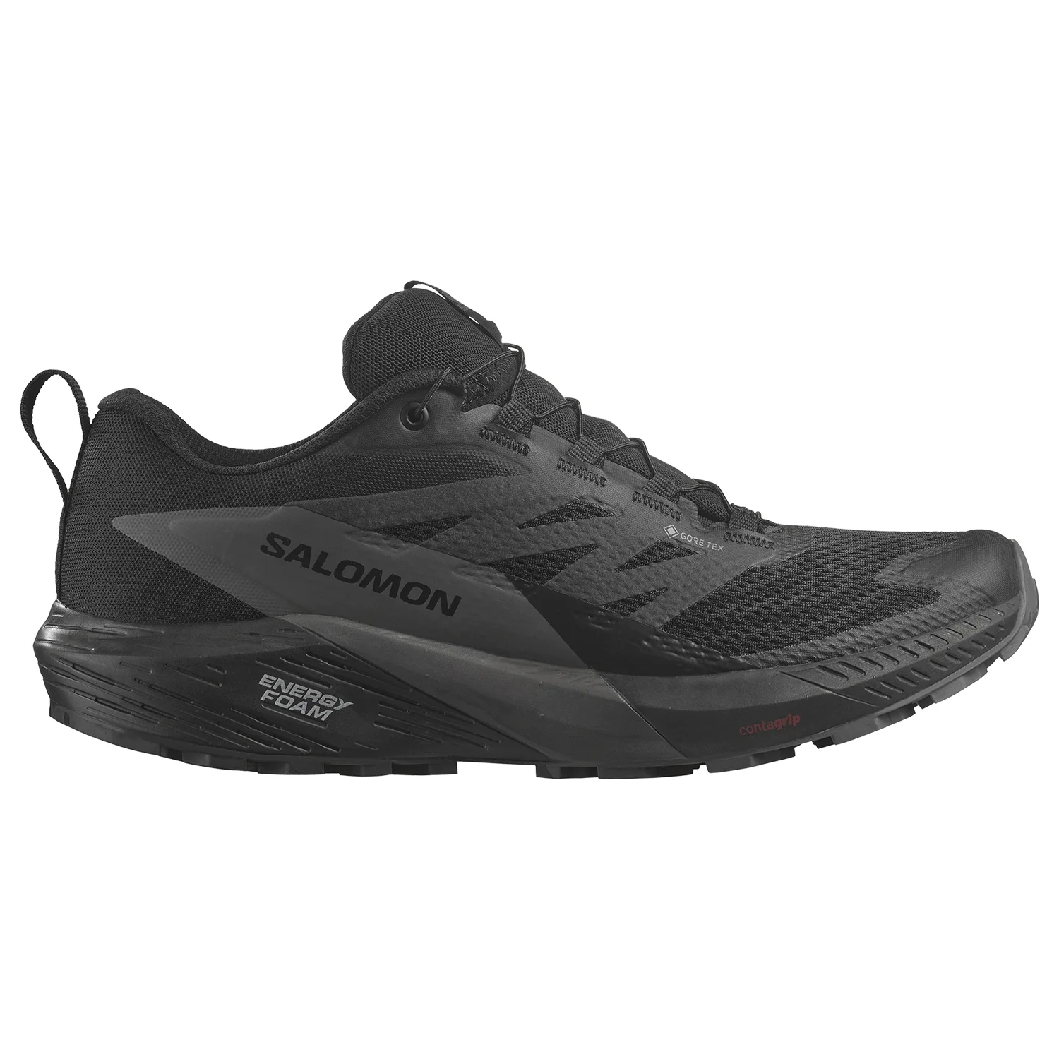 Salomon Men's Sense Ride 5 Gore-tex Shoe Black/Magnet/Black