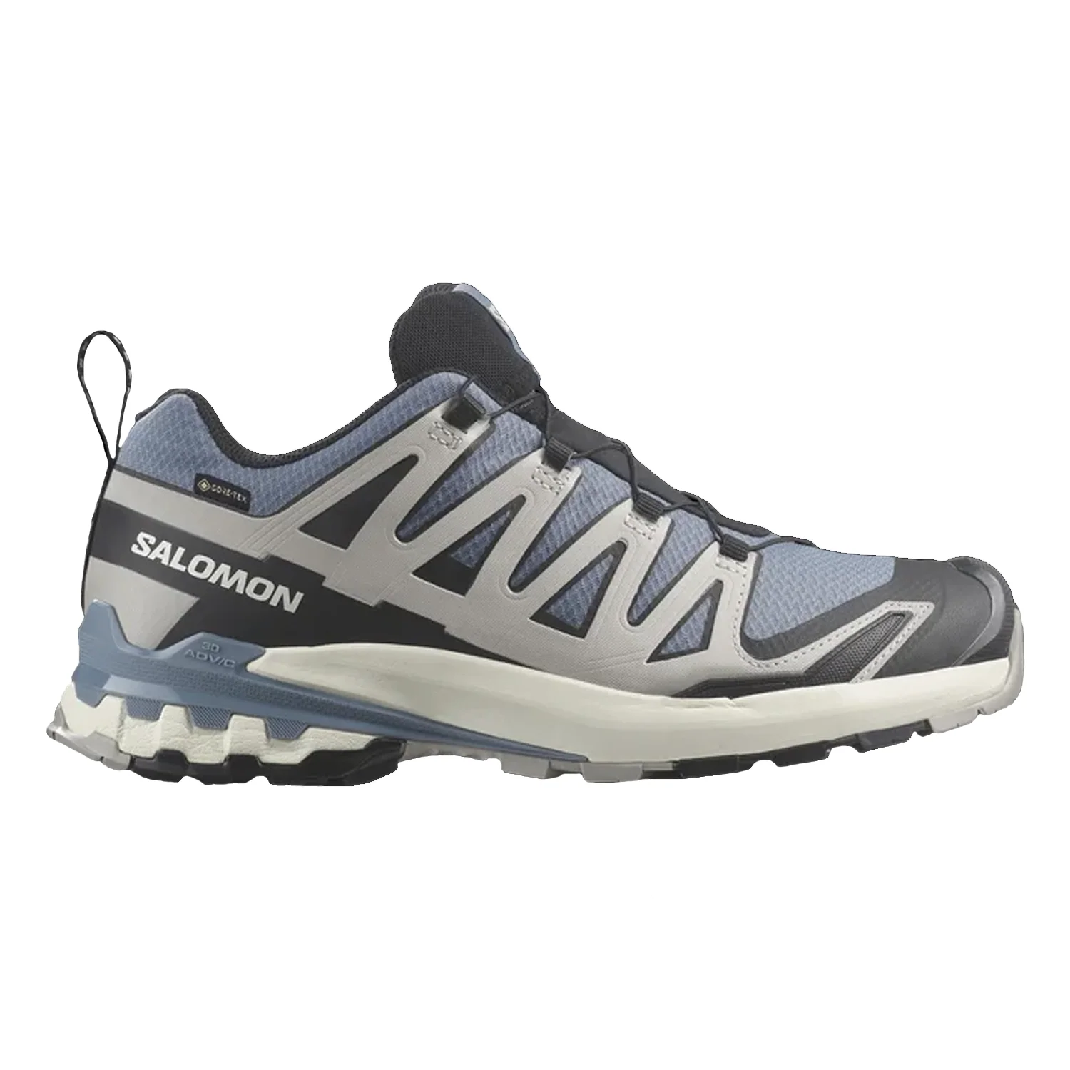 Salomon Men's XA Pro 3D V9 Gore-tex Shoe Flint/Black/Ghost