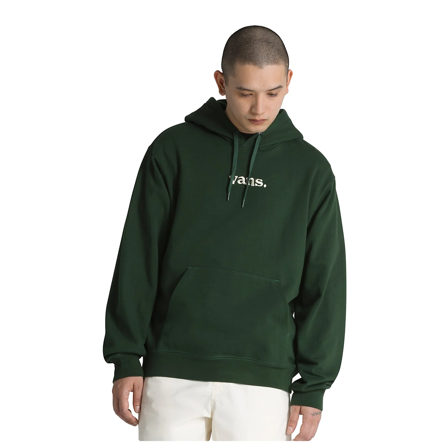 Vans Men's Lowered Hoodie Mountain View
